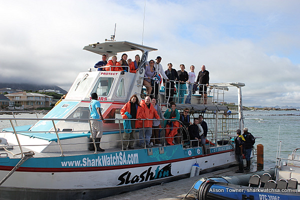 Shark Diving in South Africa