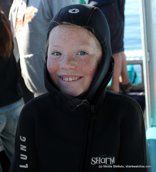 white shark cage diving south africa