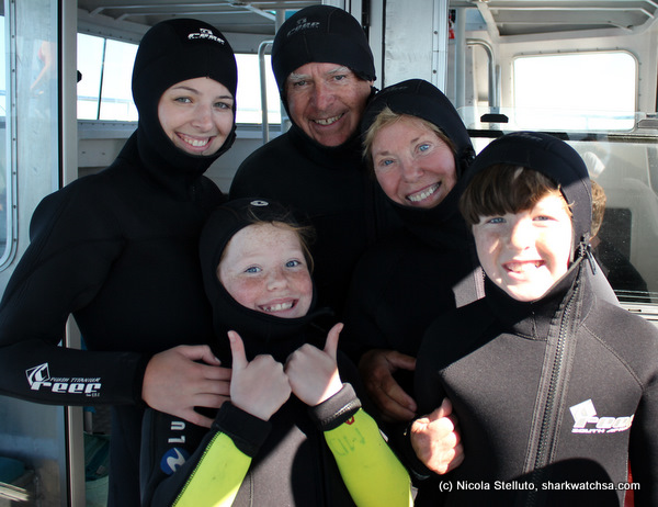 white shark cage diving south africa