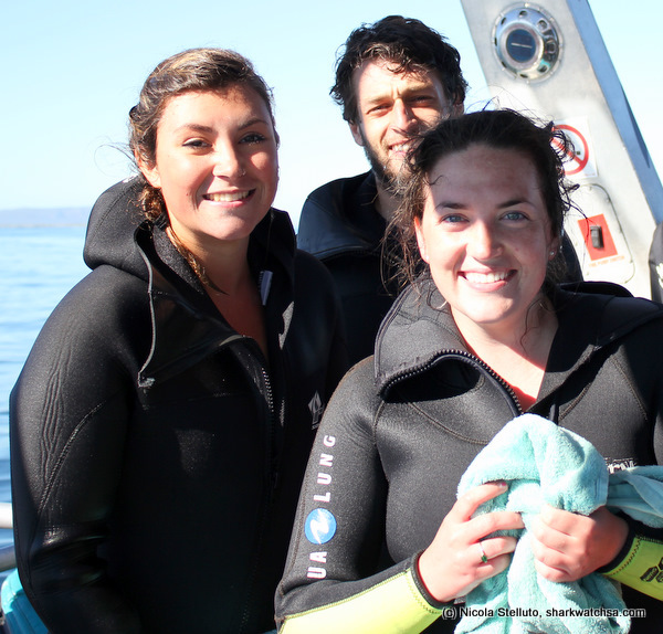 white shark cage diving south africa