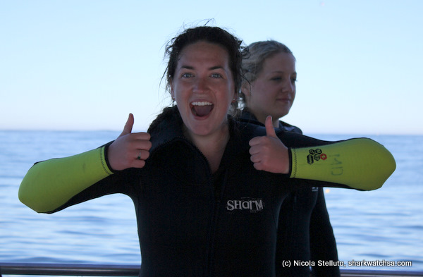 white shark cage diving south africa
