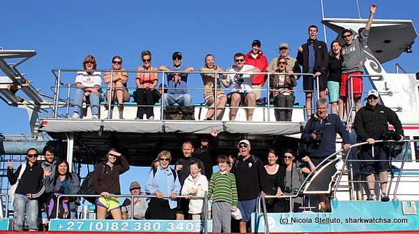 white shark cage diving south africa